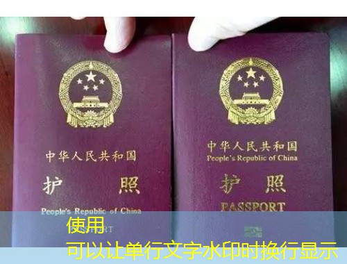 嘉兴移民圣基茨护照：一本护照撬动全球资产与生活版图